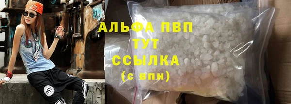 прущие грибы Баксан