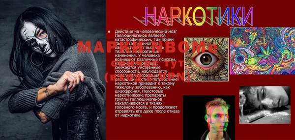 прущие грибы Баксан