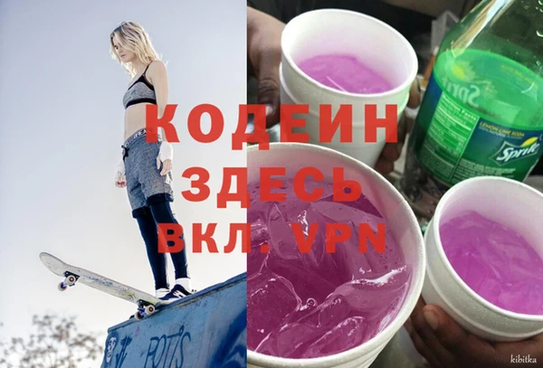 прущие грибы Баксан